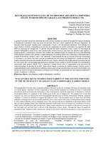 Thumbnail do PDF reutilização de tecidos-compressed-ocr.pdf